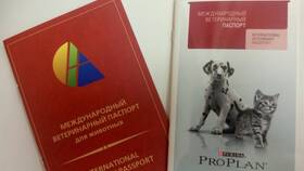 Для чего нужен паспорт для собак в Московский Ювелирный Завод