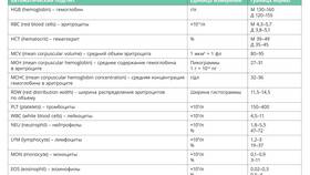 Измененные эритроциты: характеристика и значение