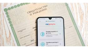 Как погасить ипотеку материнским капиталом через Госуслуги в Московский Ювелирный Завод