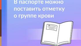 Как вставить ИНН в документы