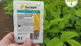 Почему нельзя использовать Актару для плодовых деревьев в Московский Ювелирный Завод