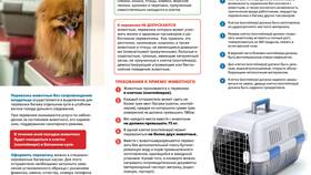 Правила провоза собак в поездах РЖД в Московский Ювелирный Завод